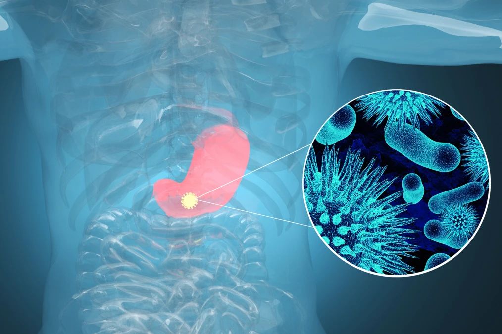 首页- 918博天堂集团有限公司官方网站