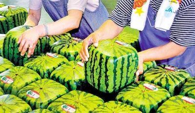 首页- 918博天堂集团有限公司官方网站